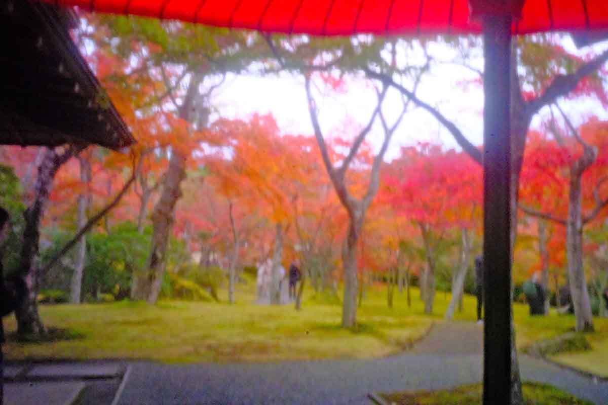针孔