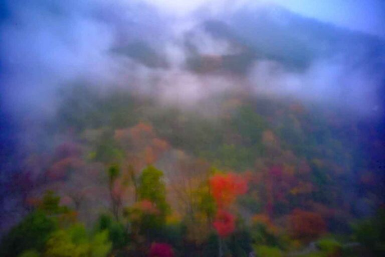 区域板
