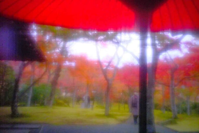 区域板