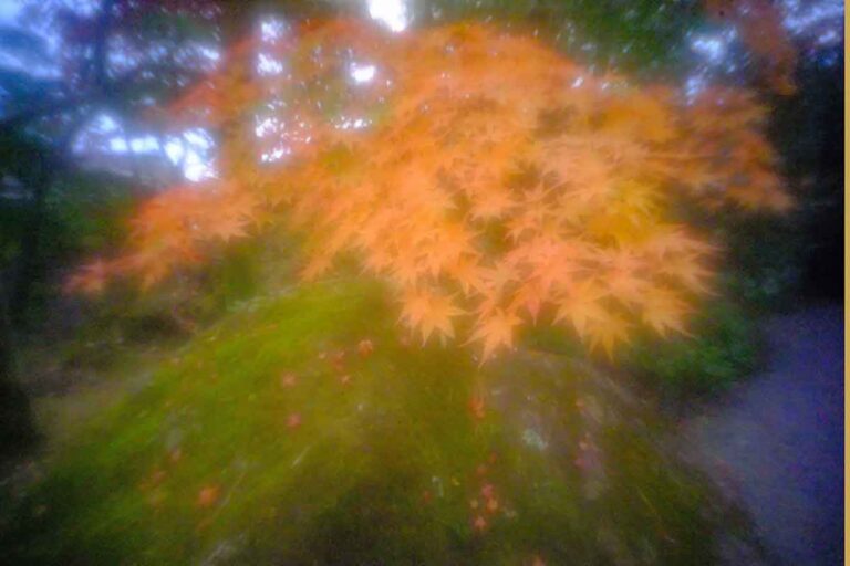 区域板